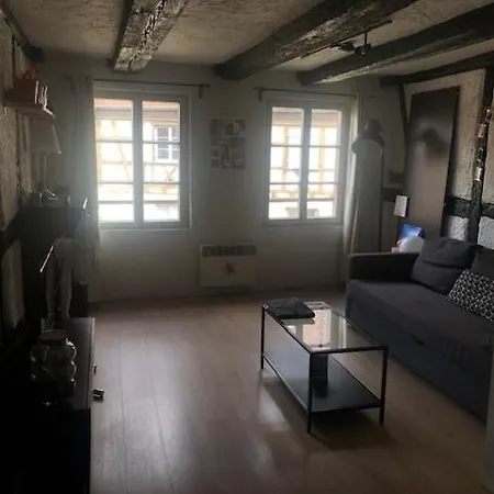 Le Secret Des Tanneurs Apartman Colmar
