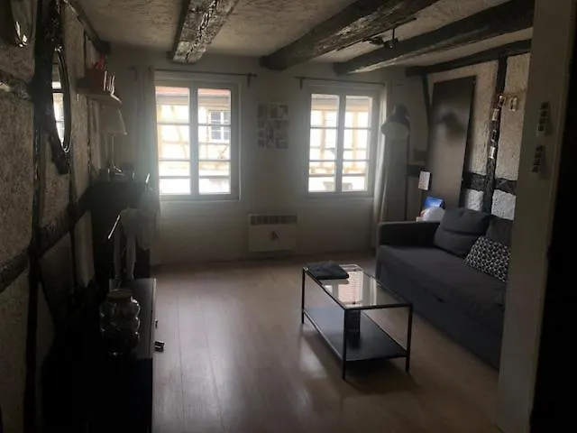 Le Secret Des Tanneurs Apartment Colmar