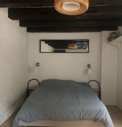 Le Secret Des Tanneurs Apartamento Colmar